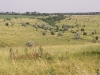 Михайловская Степь