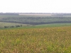 Заказник Михайловская Степь