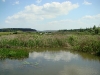 Верховья водохранилища у с. Покрышев (Житомирская обл.)