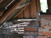 The bathhouse attic where the Eagle Owl nests