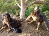 Chicks of the White-tailed Eagle in a threatening pose 