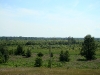 The territory of Chornobyl State Reserve of general zoological importnace