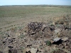 A nest of the Steppe Eagle (abandoned)
