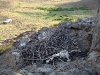 An unoccupied nest of the Steppe Eagle