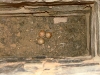 The third nest of the Lesser Kestrel