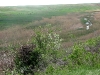 A view of the Steppe Eagle’s nest