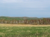 Hills of the Cis-Ural