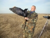 Captured Raven