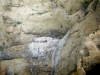 Chicks of the Saker in inaccessible nest