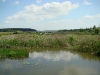 Upper reaches of the reservoir near the Pokryshev Village (Zhytomyr region)