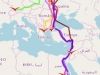 Розподіл великих підорликів по місцях зимівлі (джерело - www.birdmap)