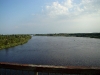 The Pripyat river – photo from the bridge where a pair of Kestels is breeding