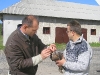 Годування канюка