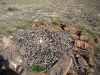 В гнезде степного орла только 1 яйцо (полная кладка)
