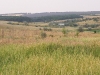 Protected area ‘Labirynt’
