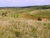 Yelanetsky Steppe