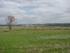 The Golubaya River valley (a tributary of the Don) 