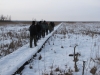 Экскурсия по парку, идем по деревянной кладке
