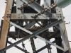The nest of the Hooded Crow occupied by the Hobby Falcon (the chick is seen)