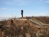 Высоко сижу, далеко гляжу