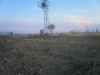 ‘Tarkhankut’ - electrocuted under power lines in Turkey