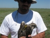M.Prommer with the chick ‘Kurgan’