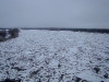 Pripyat River near Chornobyl