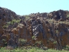 Гнездо курганника, занятое балобаном
