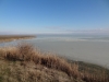 Водные просторы пустынны зимой