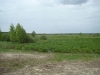 На болоте Широкое в гнездовой период отмечено 10 видов хищных птиц