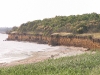 The shore of Burnas Liman