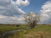 В пойме р. Урал