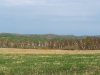 Холмы Предуралья