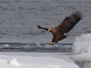 Ice landing