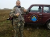 Captured adult female of the Goshawk from the local population