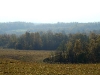 Landscapes of the Ridge