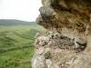 Remains of old Raven's nest are noticeable