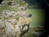 Viewing the nesting niche