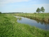 River near the Kopiivka Village (Kyiv region)