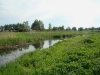 At the village of Kopiivka