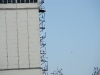 After unsuccessful hunting for doves the Common Buzzard perched on a metal stairs of the elevator.