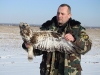 A release of the ringed bird 