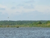 Peateries on Zamglay Bog