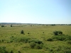 Floodplain of the Snov River