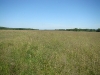 Area of a dry valley of the Revna River