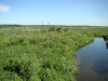 Wet valley of the Revna River