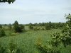 The Snov floodplain, view from a tree