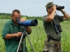 Bird observations