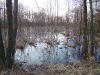 Spring flood in the south part of the Bondarevskoye Swamp