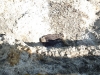 View from above